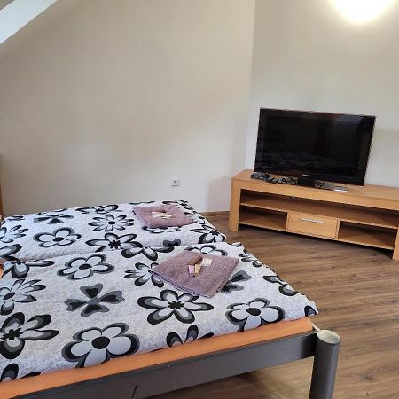 Studentska Apartments 卡罗维发利 外观 照片